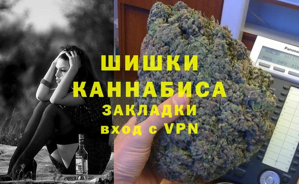 шишки Медногорск