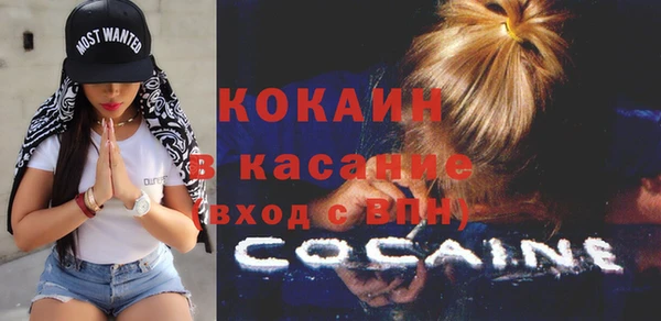 шишки Медногорск