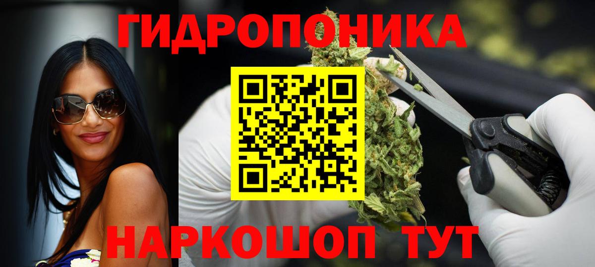 Канабис Amnesia  Дзержинский  Бошки Шишки Ganja  Марихуана индика  Канабис планчик 
